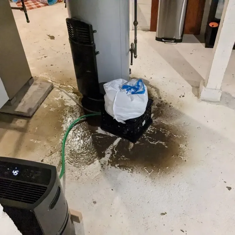 Sewage Backup Cleanup Service in Sale Creek, TN